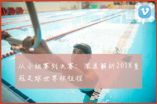 从小组赛到决赛：深度解析2018皇冠足球世界杯征程