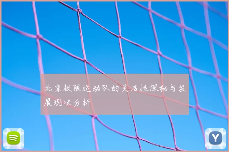 北京极限运动队的灵活性探秘与发展现状分析