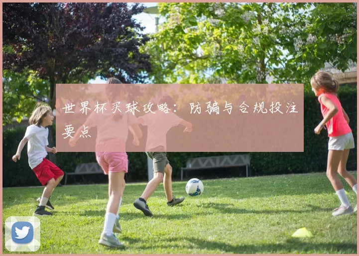 世界杯买球攻略：防骗与合规投注要点