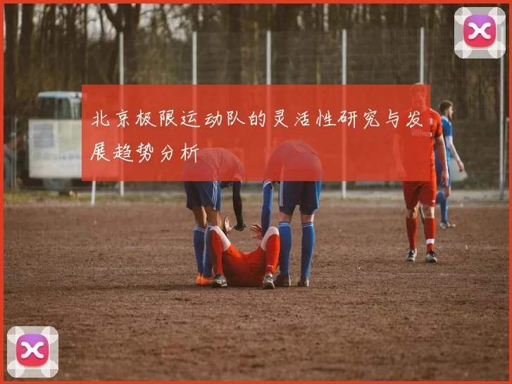 北京极限运动队的灵活性研究与发展趋势分析