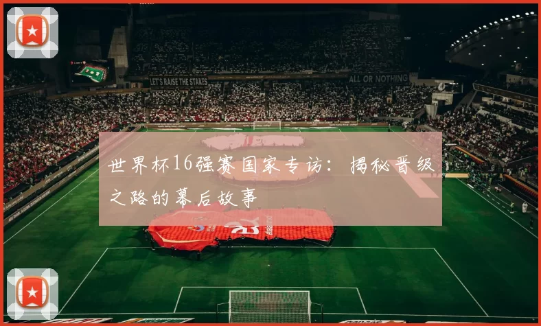 世界杯16强赛国家专访：揭秘晋级之路的幕后故事