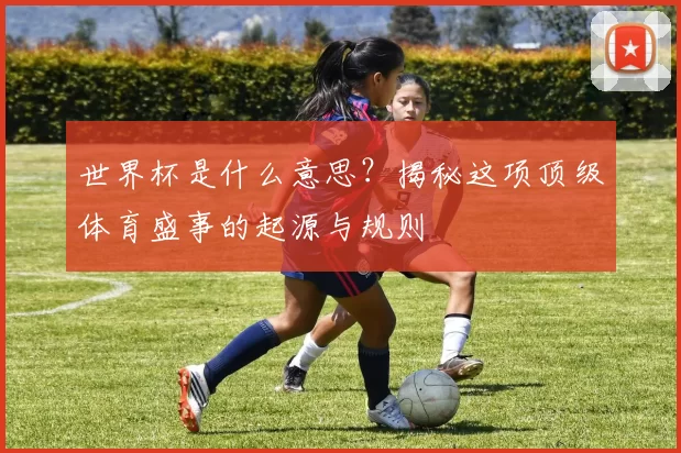 世界杯是什么意思？揭秘这项顶级体育盛事的起源与规则