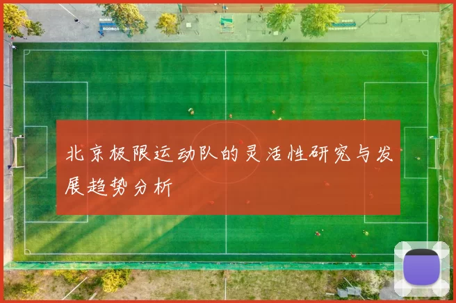 北京极限运动队的灵活性研究与发展趋势分析