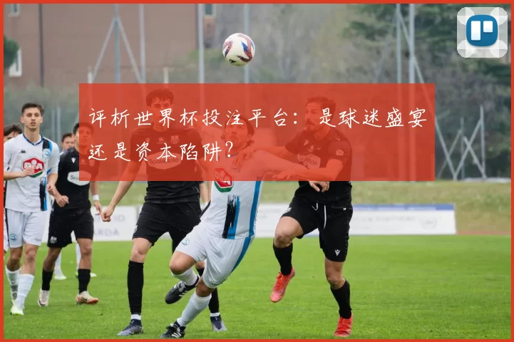 评析世界杯投注平台：是球迷盛宴还是资本陷阱？