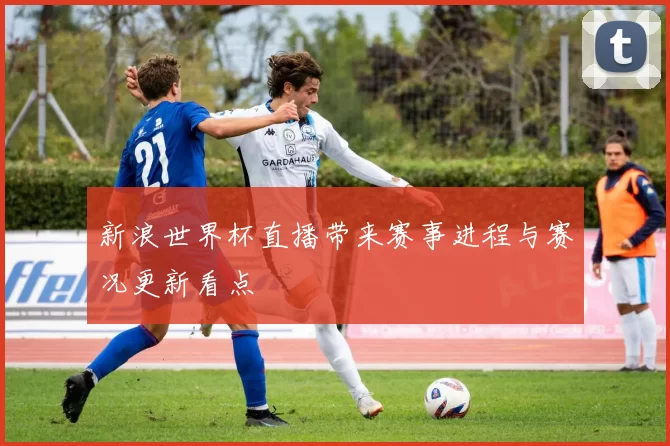 新浪世界杯直播带来赛事进程与赛况更新看点